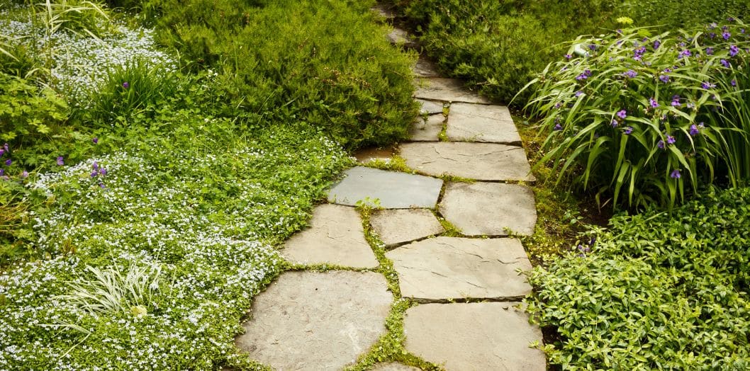 entretien jardin élément non végétalisé
